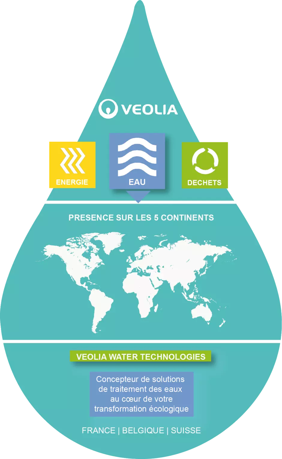 organisation VWT infographie