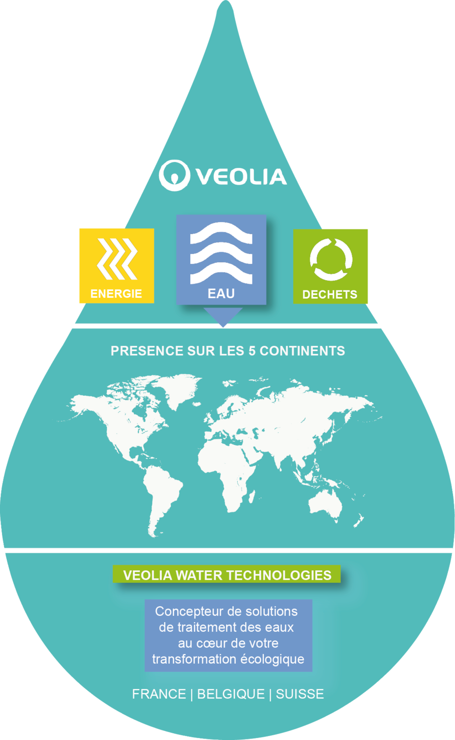 organisation VWT infographie